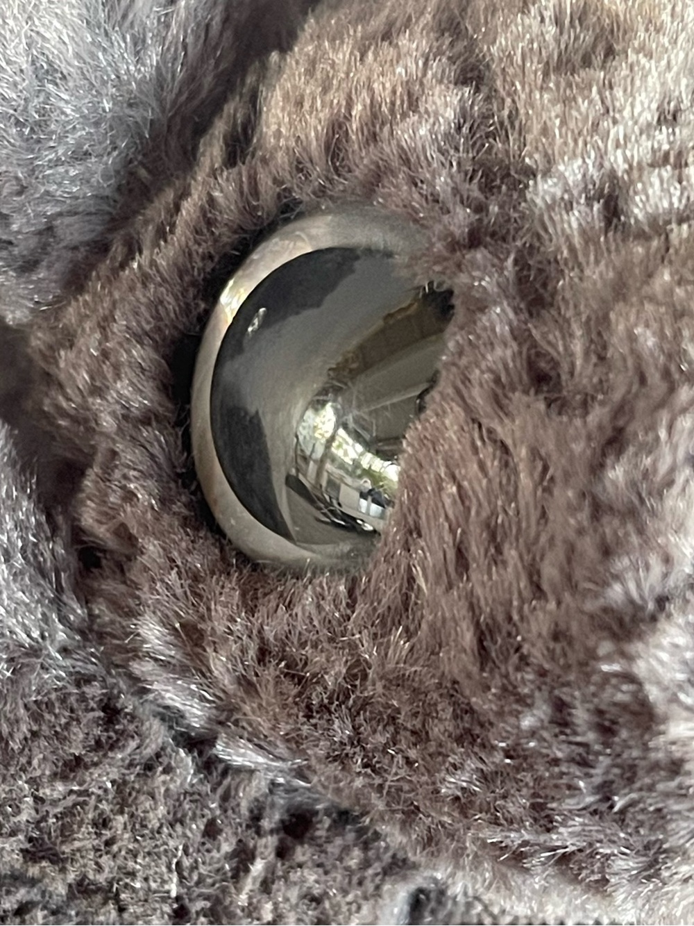 Jellycat Very Rare Retired Frizzles Bat Genuine Cute Large Eyes Furry Plush HTF - Picture 9 of 16